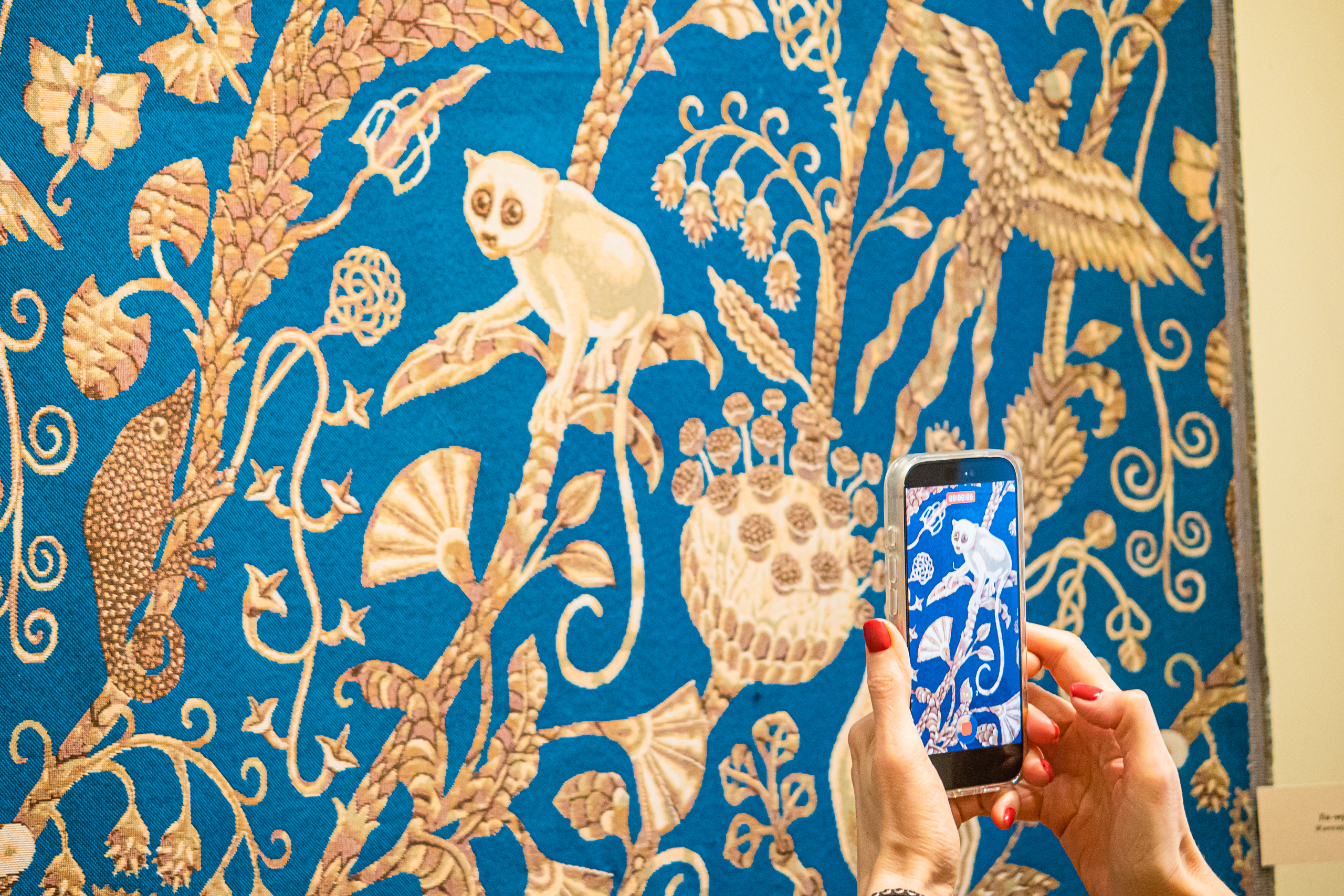 В особняке Румянцева можно увидеть шёлк, фарфор и лемуров21