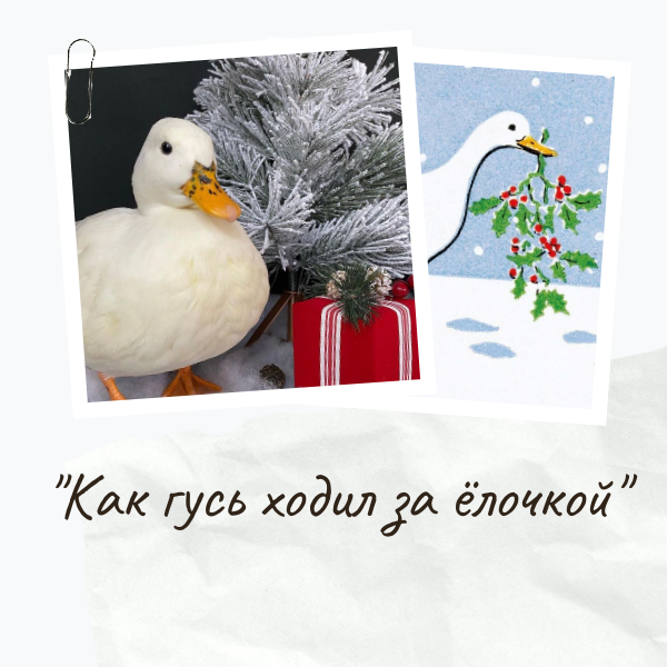 Библиотеки Калининского района анонсировали план на декабрь13