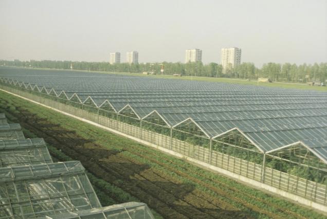 В Библиотеке Друзей откроется выставка, посвящённая Средней Рогатке 