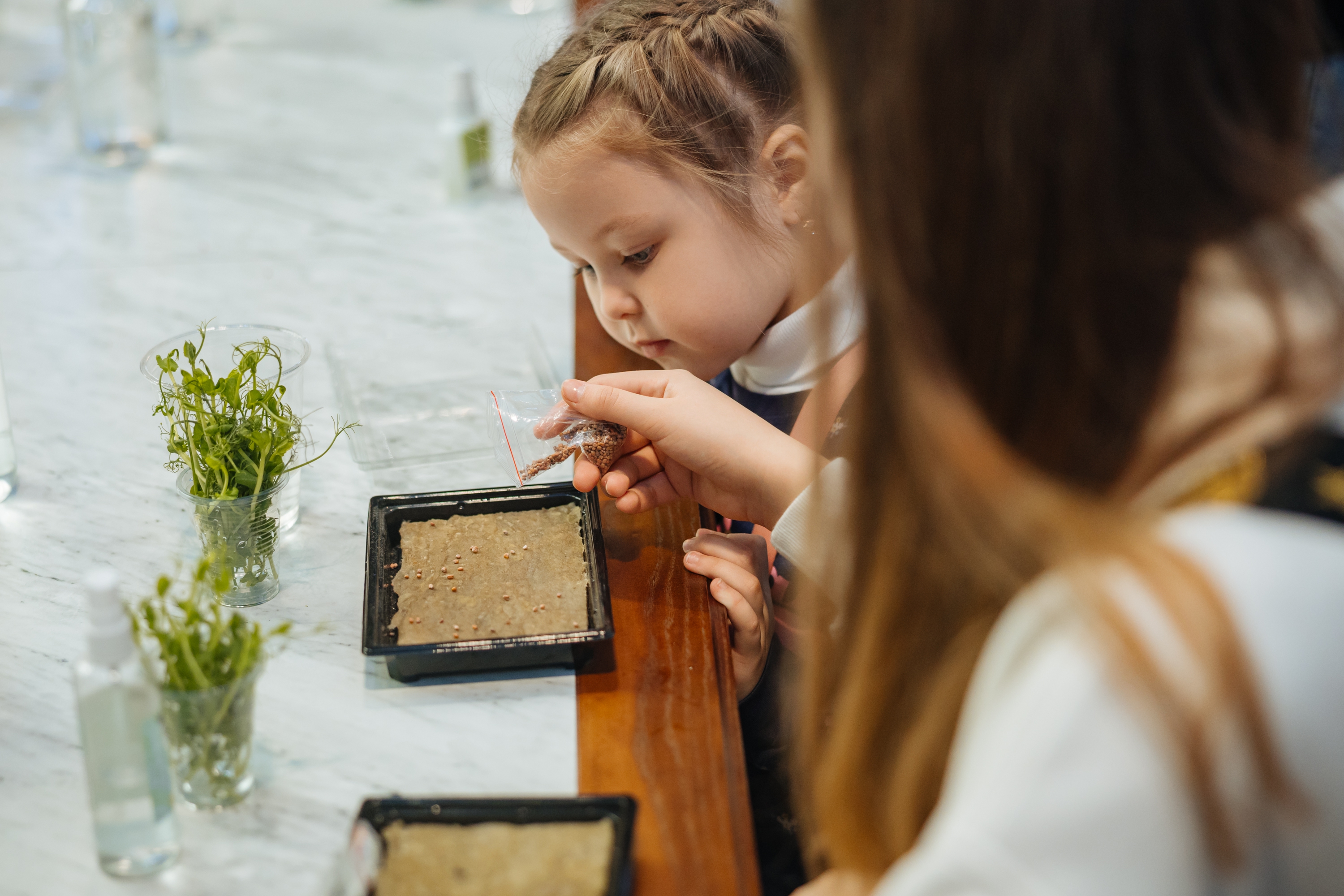 На каникулах VOKZAL 1853 проведёт «Фестиваль профессий. Отпуск»10