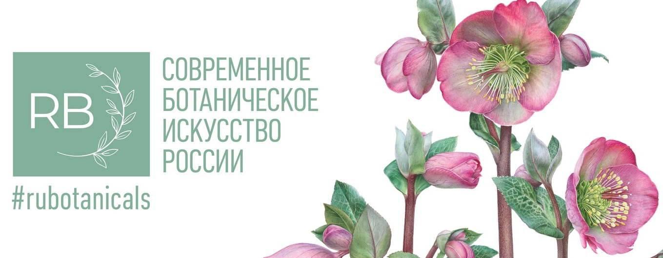 МЦБС им. М.Ю. Лермонтова