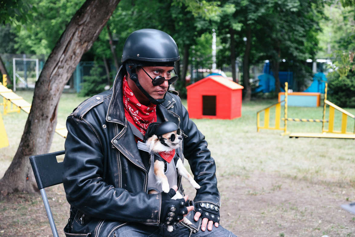 Сказочные киноновинки 2026 года: что посмотреть в новом году8