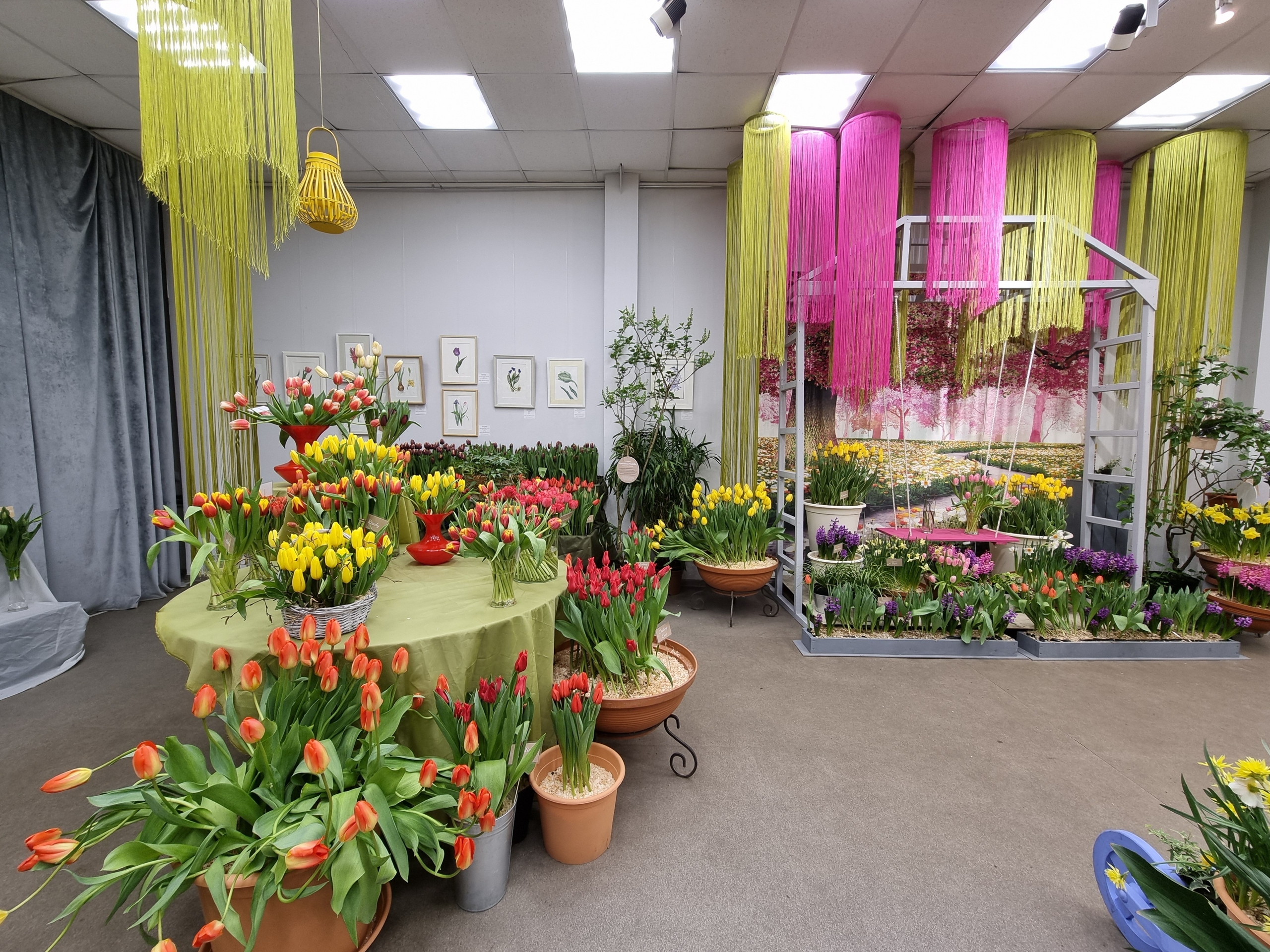 «Оттепель чувств» в Ботаническом саду достигнут «Сиреневой терапией» 12