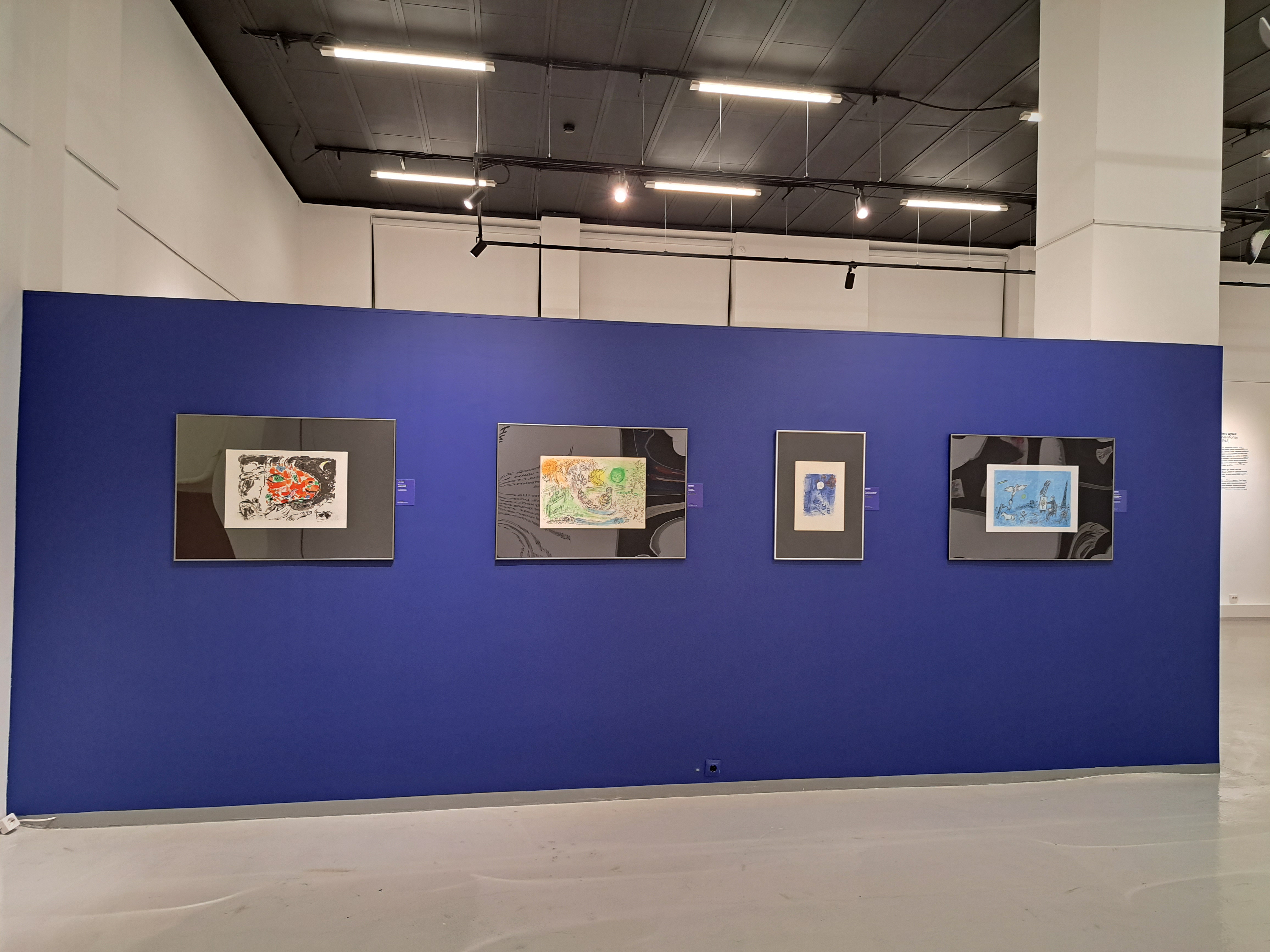 Выставка, посвященная Марку Шагалу: зрителей ждет невесомость6