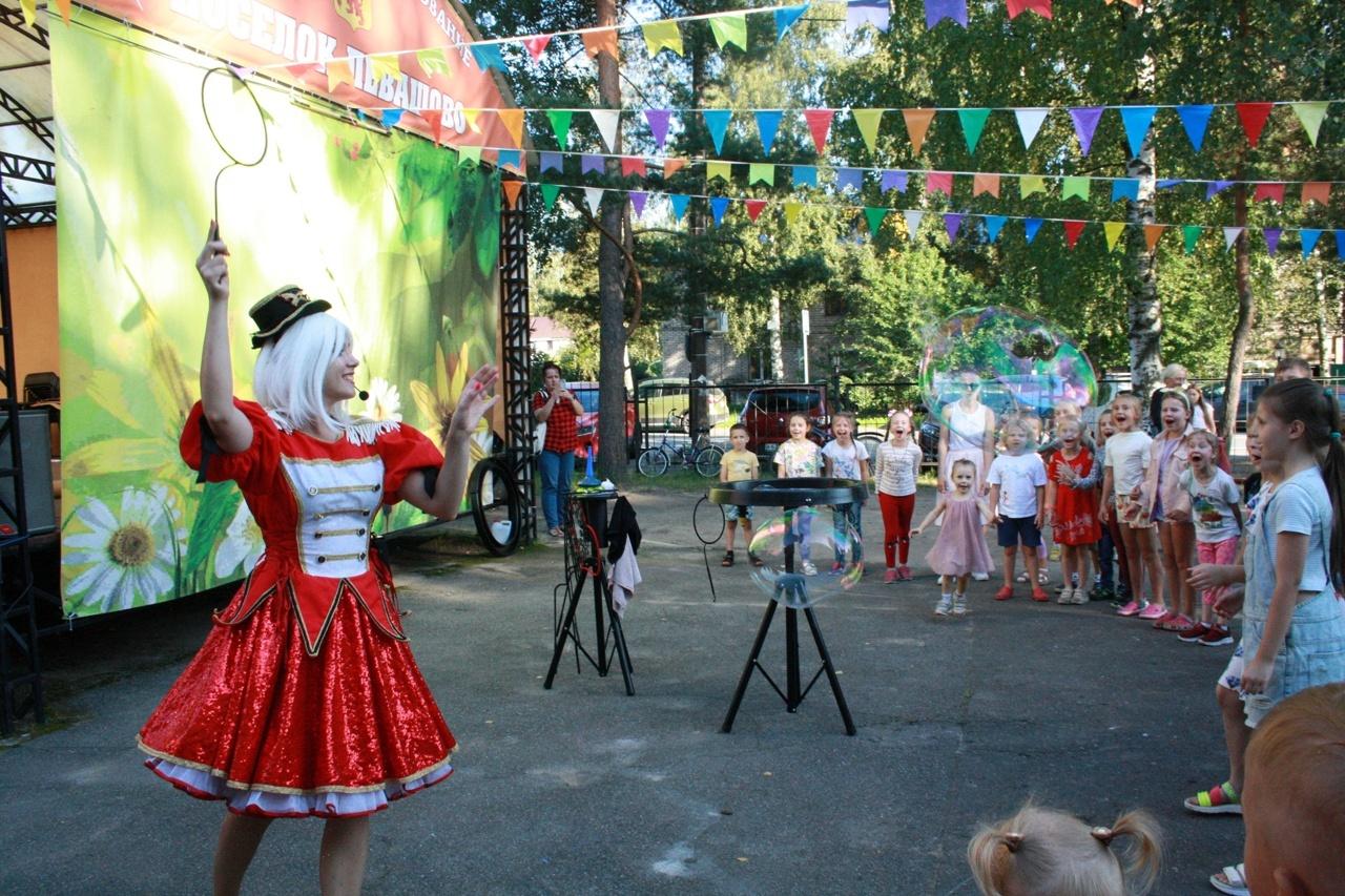 ДК "Левашовский"