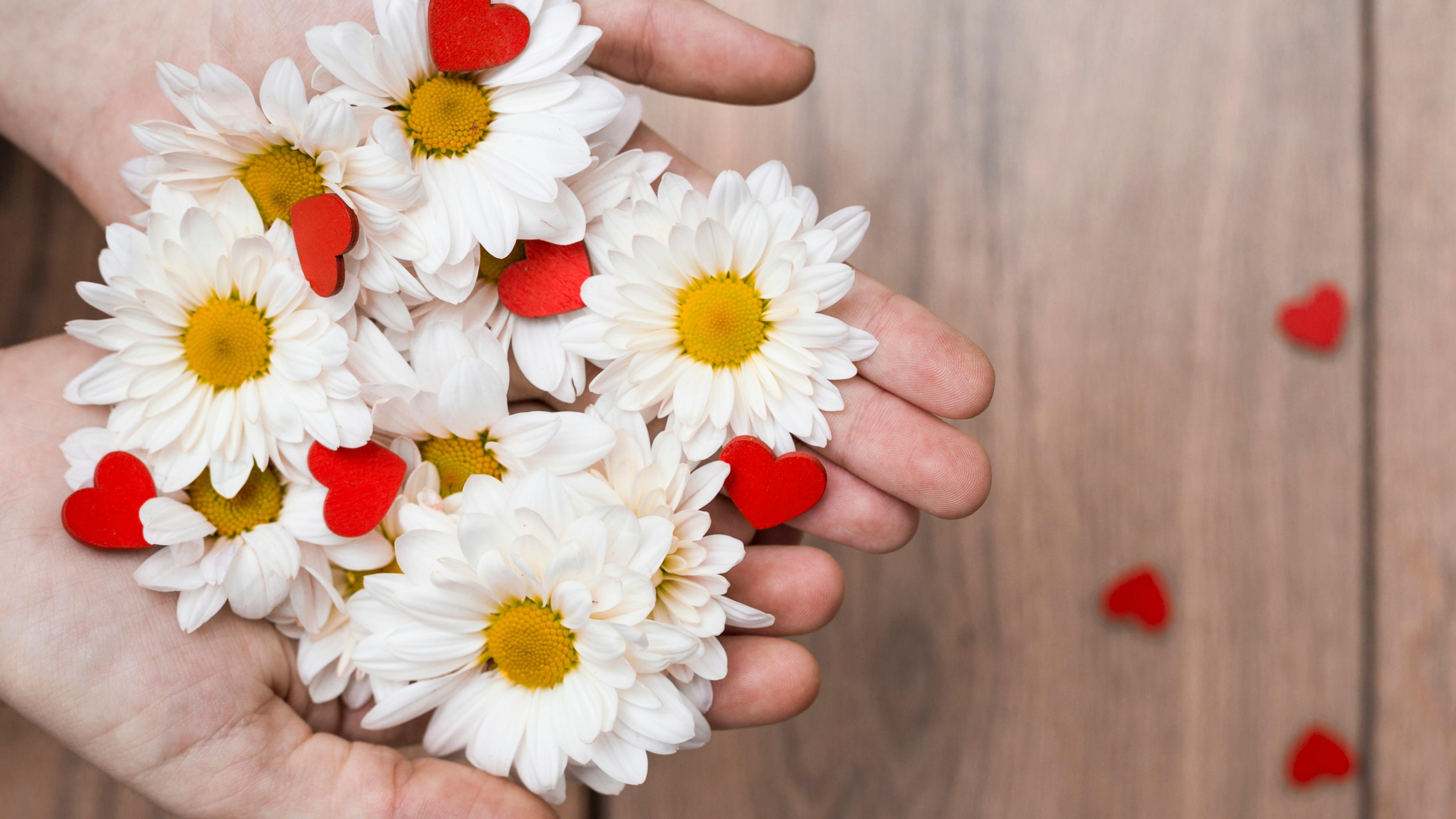 https://www.magnific.com/ru/free-photo/crop-hands-with-pile-flowers-hearts_3537821.htm#fromView=search&page=1&position=0&uuid=1a85dac6-f995-4a9e-a8d1-d2c0eff18ca4&query=%D0%B4%D0%B5%D0%BD%D1%8C+%D1%81%D0%B5%D0%BC%D1%8C%D0%B8+%D0%BB%D1%8E%D0%B1%D0%B2%D0%B8+%D1%81+%D1%80%D0%BE%D0%BC%D0%B0%D1%88%D0%BA%D0%B0%D0%BC%D0%B8