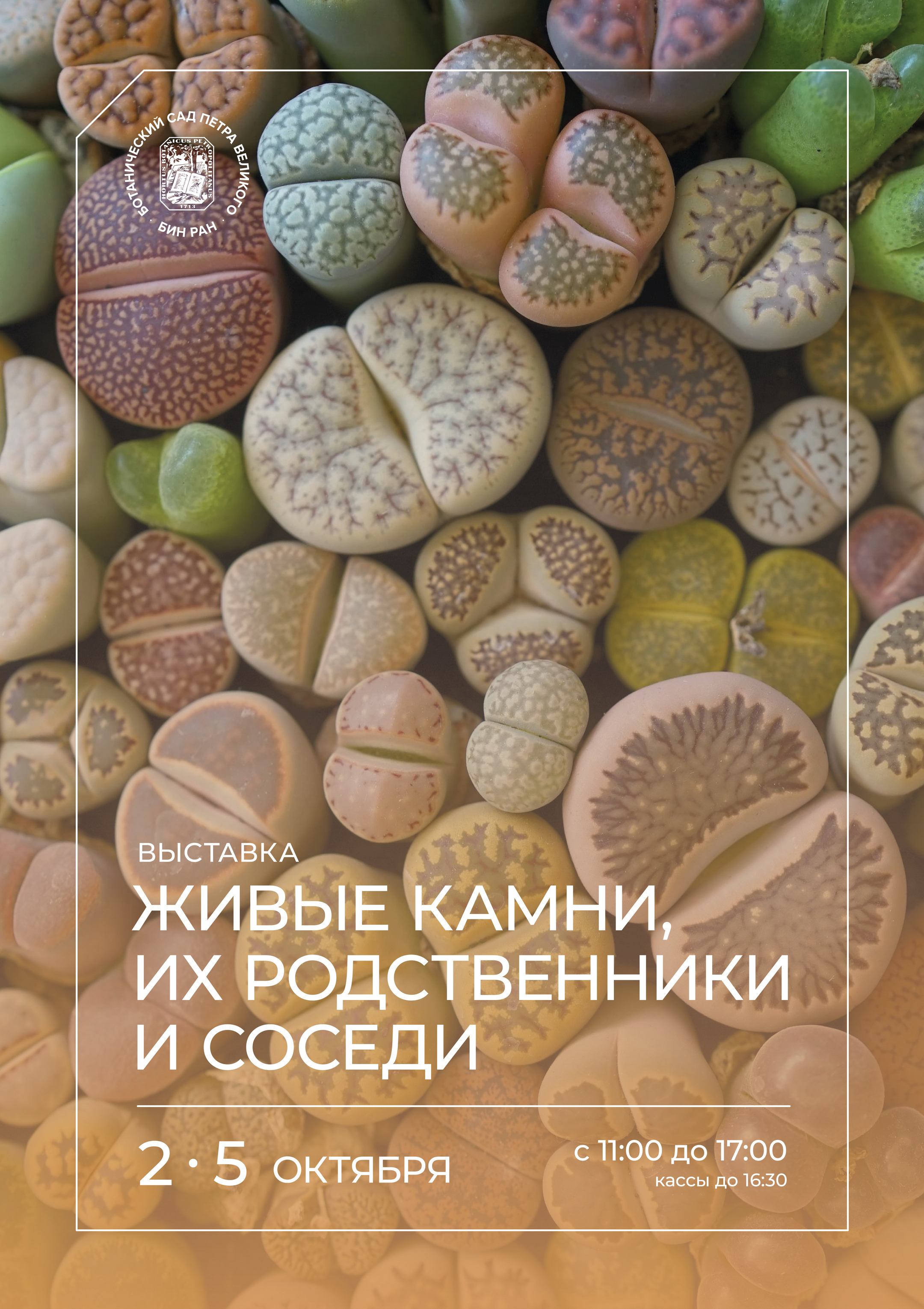 В Зеленом домике Ботанического сада три дня будут показывать суккуленты 14