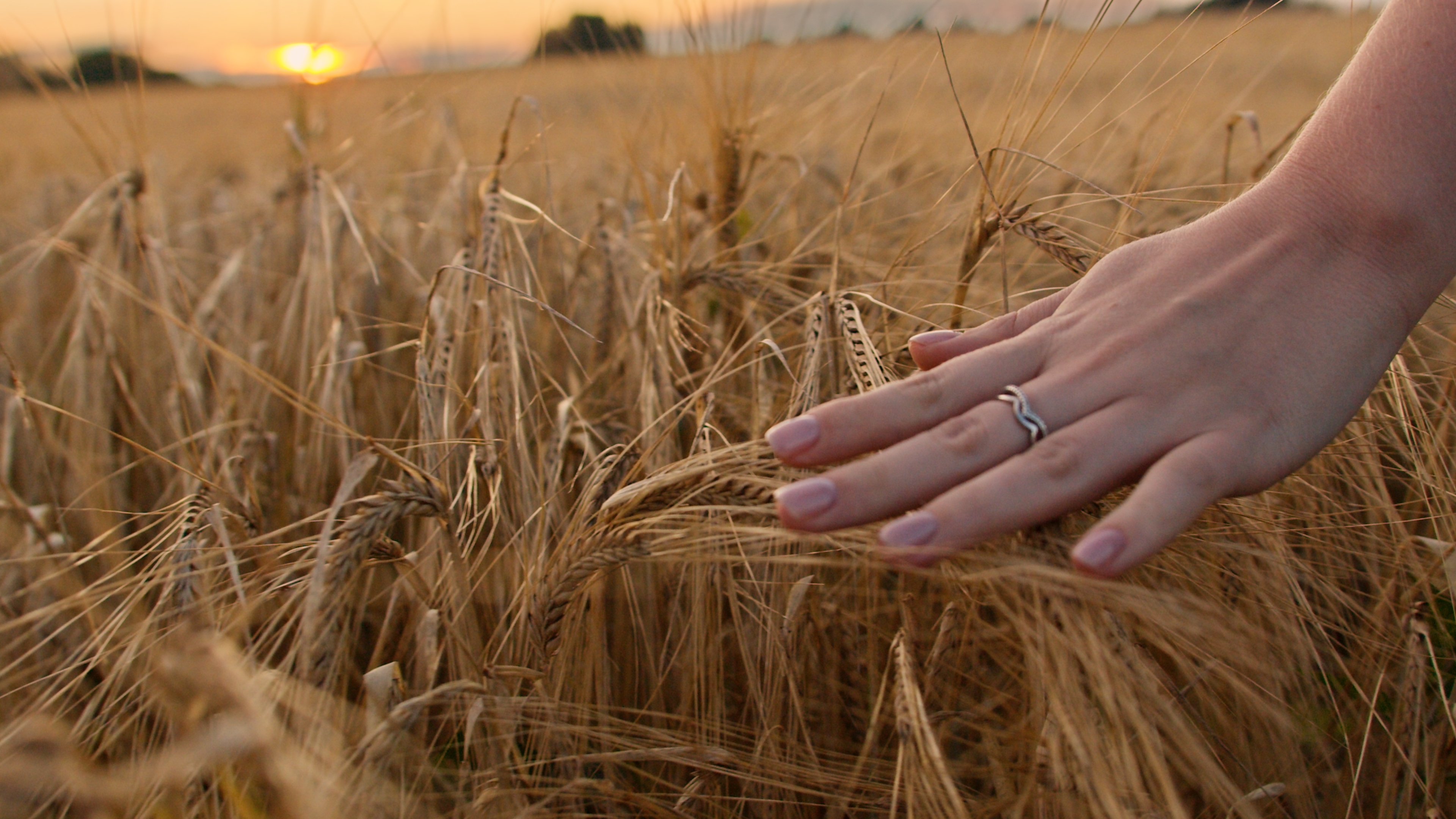 В «Авроре» передадут творческий дух Суздальской земли 7