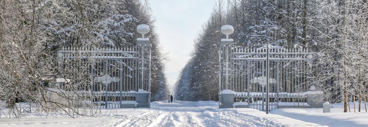 Обложка: В Павловск вернулись Этюпские ворота
