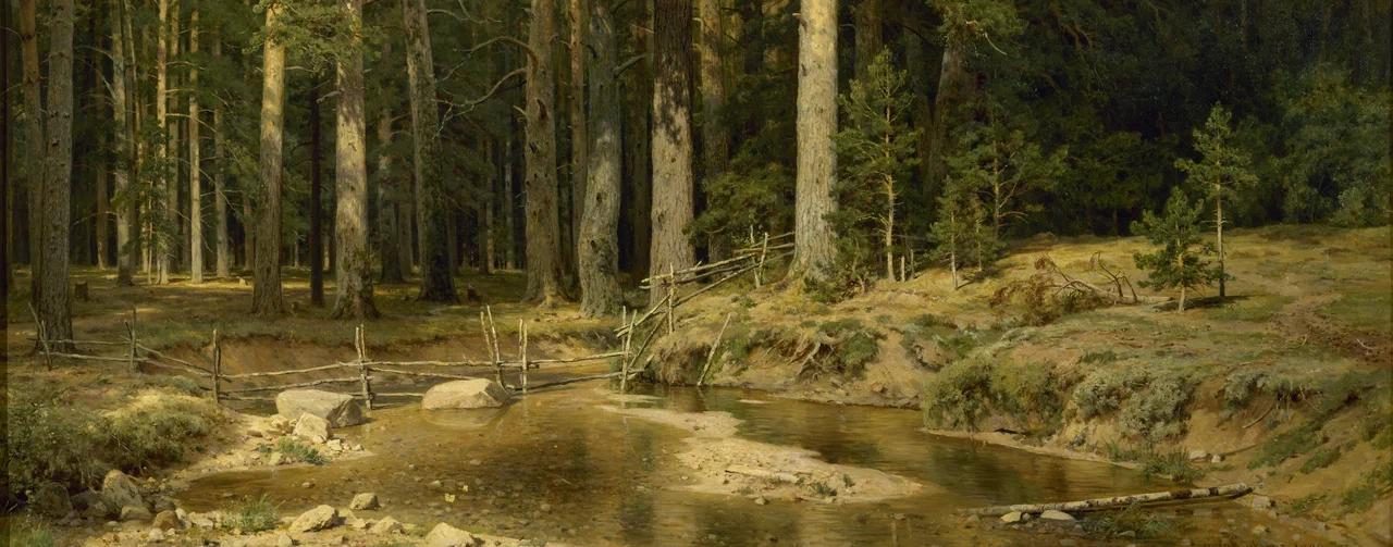 Обложка: Иван Шишкин. Корабельная роща.