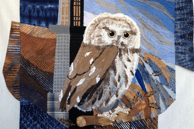 электронный носитель автора