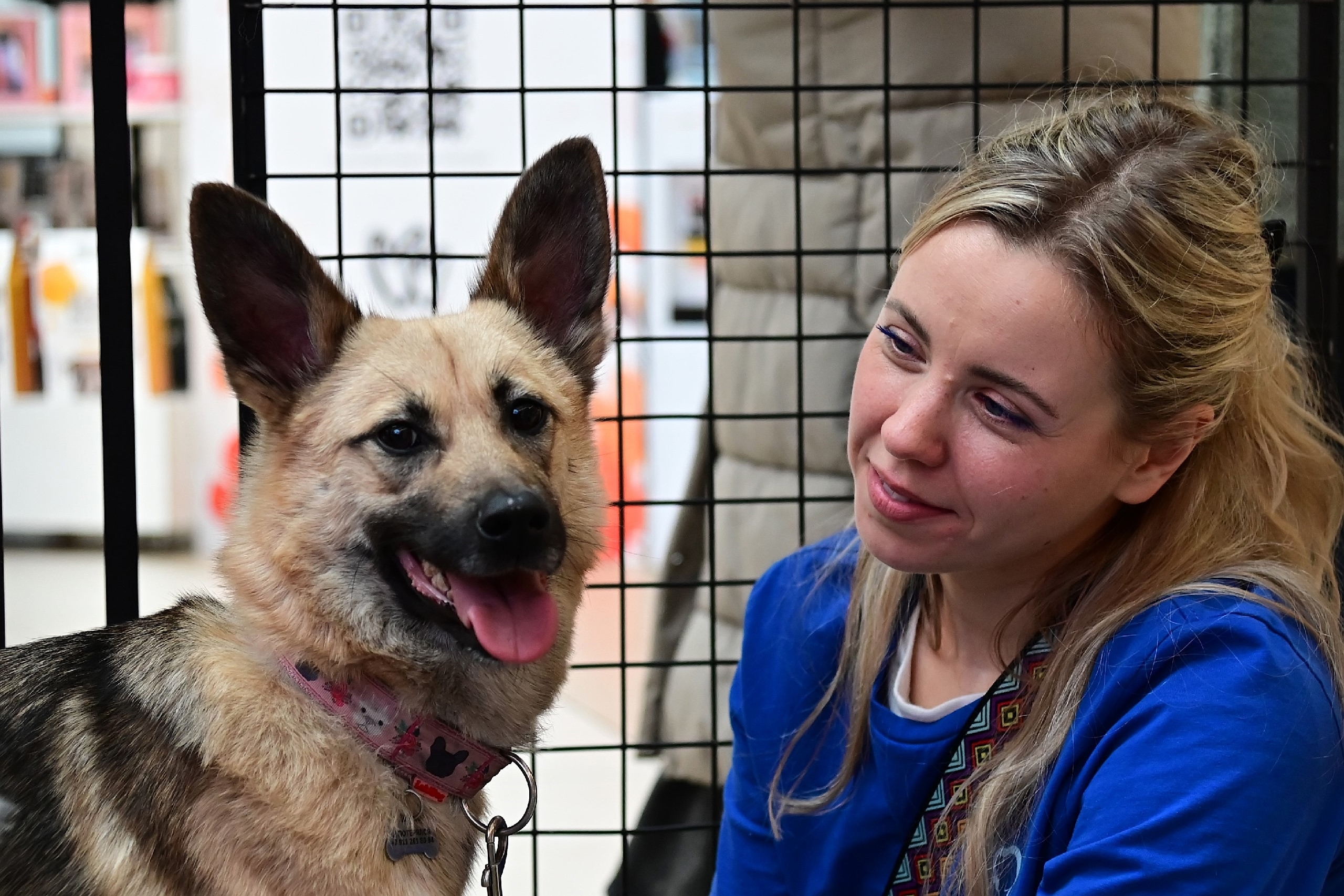 «Путь домой» вернётся в «Лето» в разгар зимы3