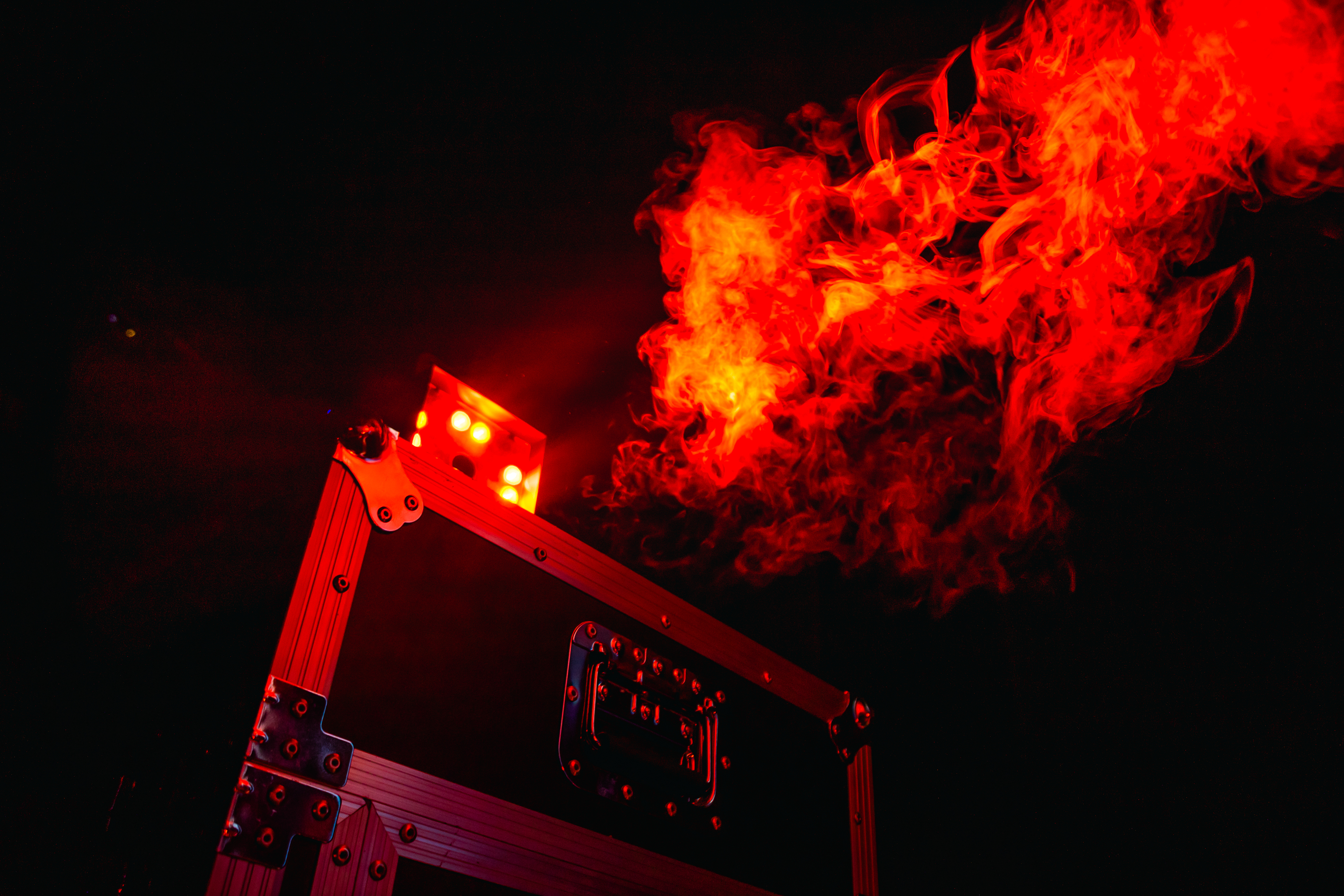 «При подготовке шоу ни один ушастый не пострадал»21