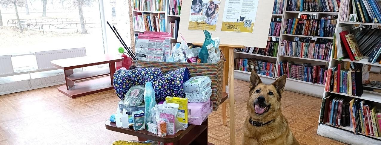 Обложка: Библиотеки Фрунзенского района поддержат хвостатых 
