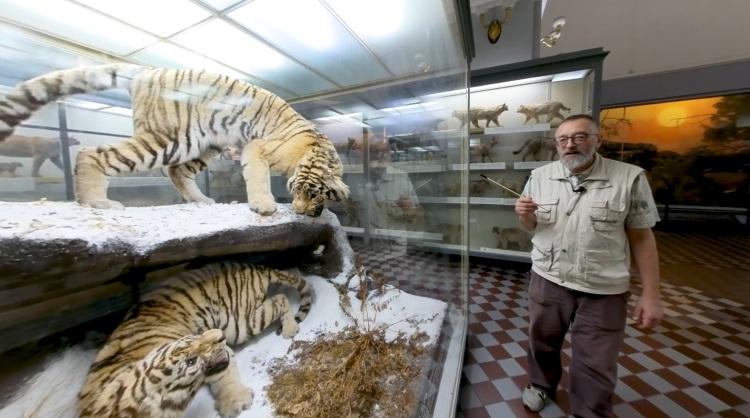 Зоологический музей создал первую поэтическую экскурсию