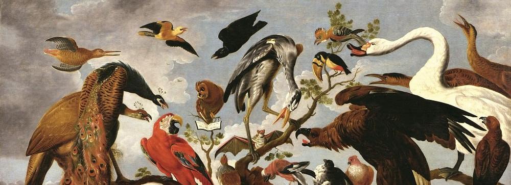 Обложка: «Класс зверей и птиц, цветов и плодов. Академические классы XVIII века», Музея Академии художеств