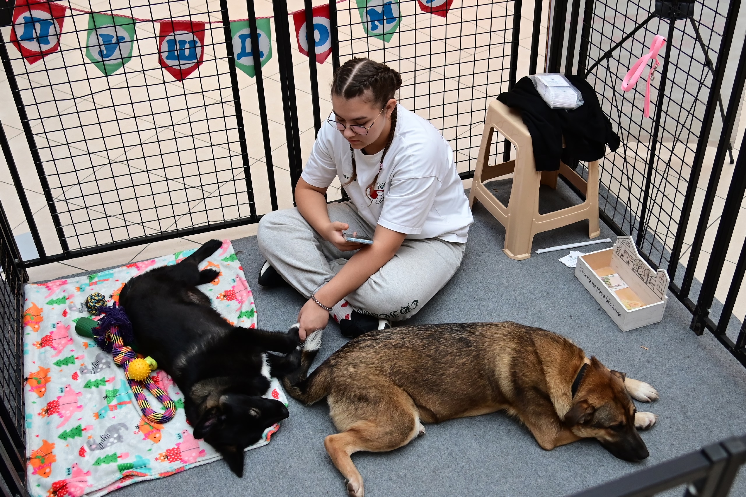 «Путь домой» вернётся в «Лето» в разгар зимы1