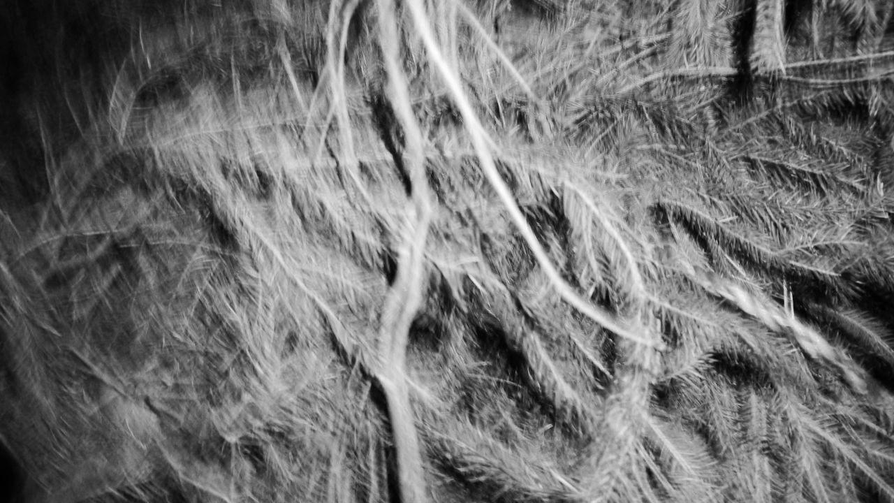 Архив автора