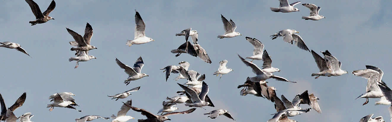 Правообладатель фото: пресс-служба Президентской библиотеки.