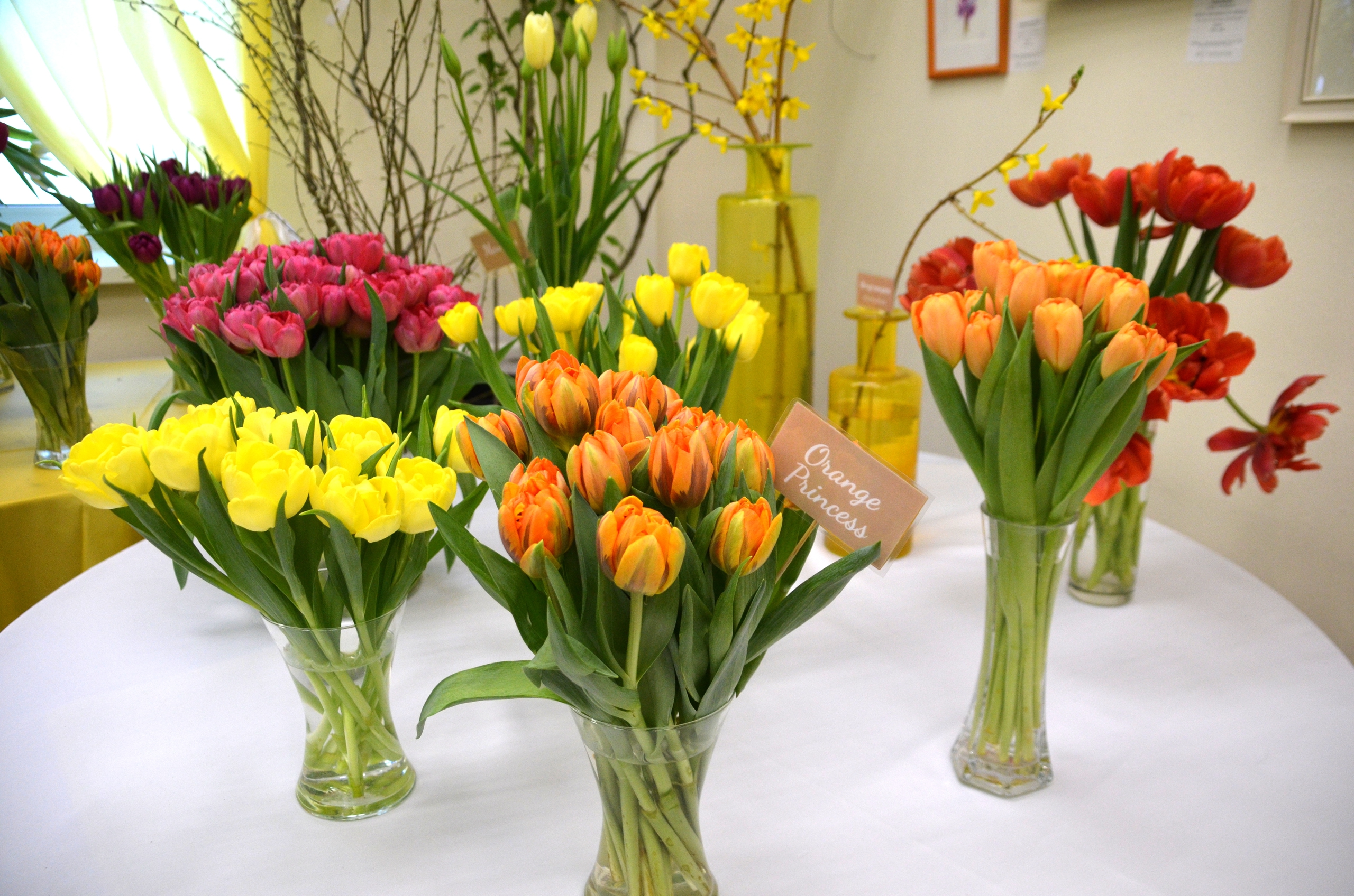 «Оттепель чувств» в Ботаническом саду достигнут «Сиреневой терапией» 7