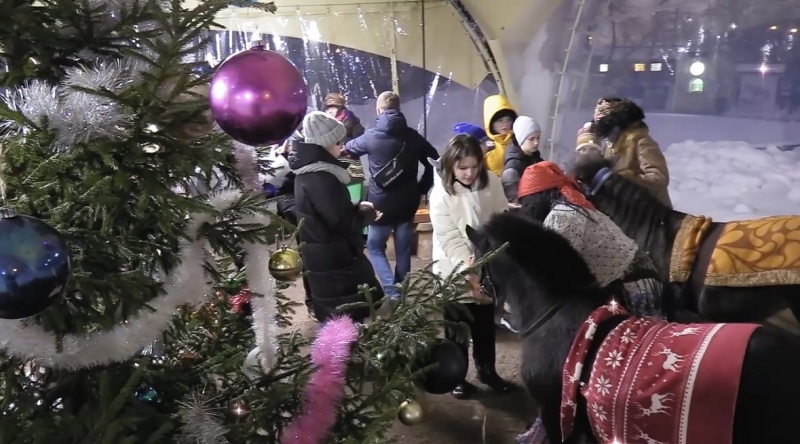 Ленинградский зоопарк ждёт гостей на новогодние каникулы