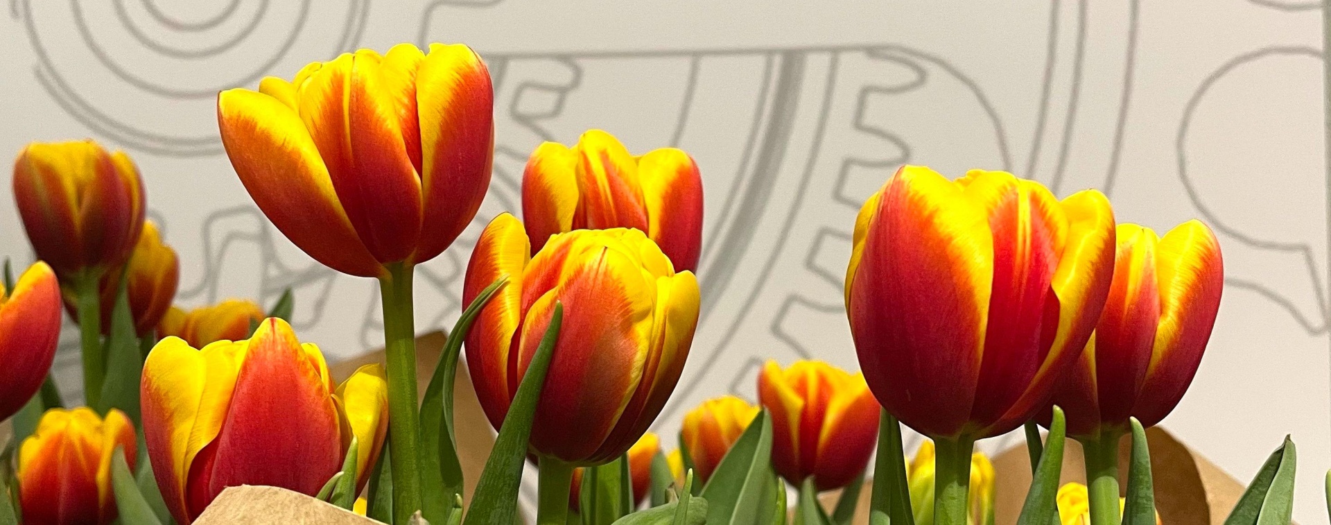 Обложка: Думская башня приглашает на праздник весны и цветов 