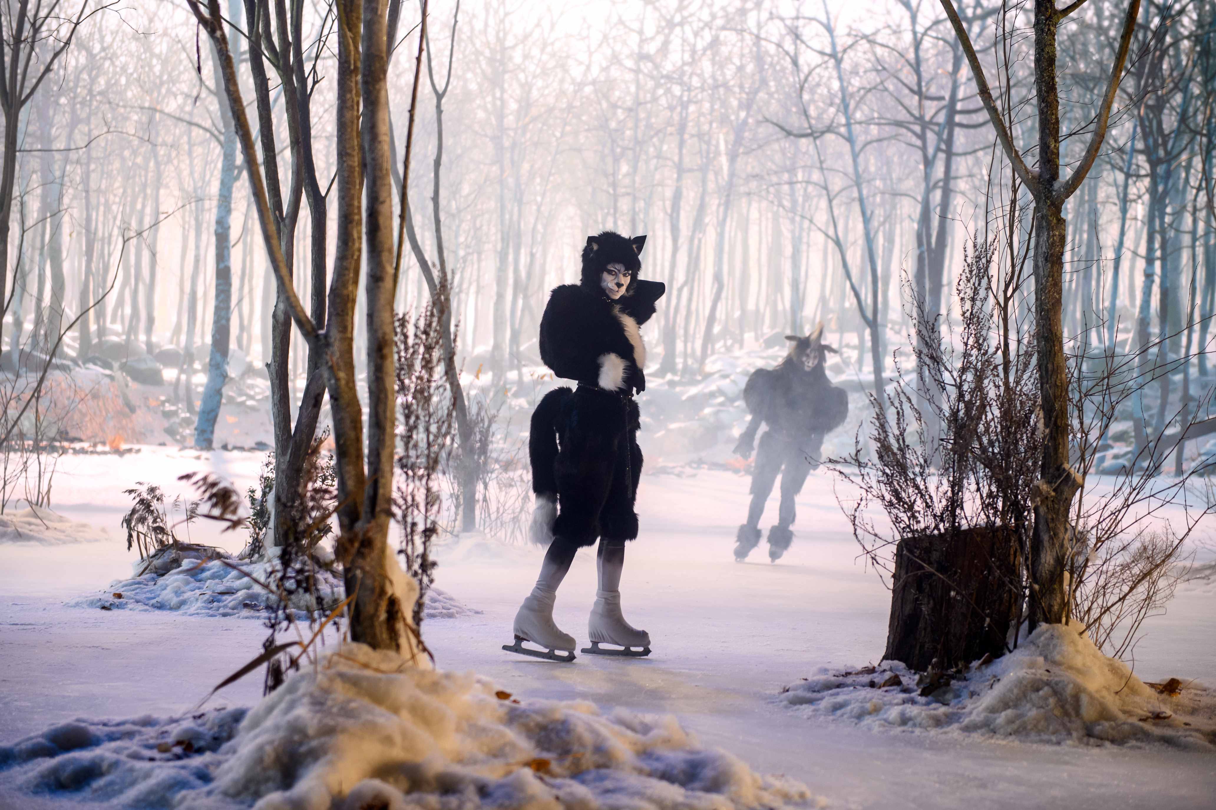 «Бременские музыканты» выйдут на лёд в новогодние праздники3