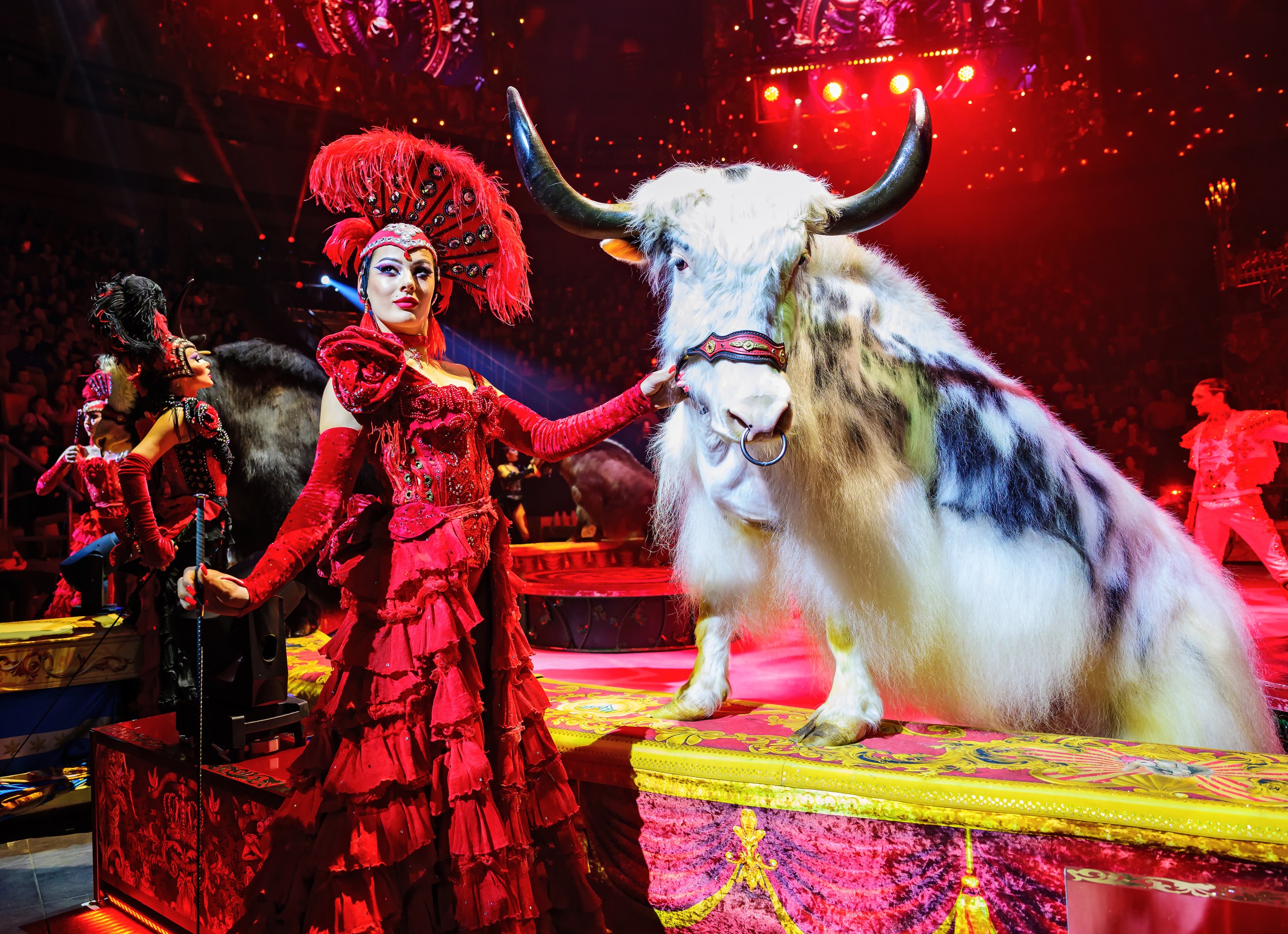 В Петербург приедет Королевский цирк Гии Эрадзе 8