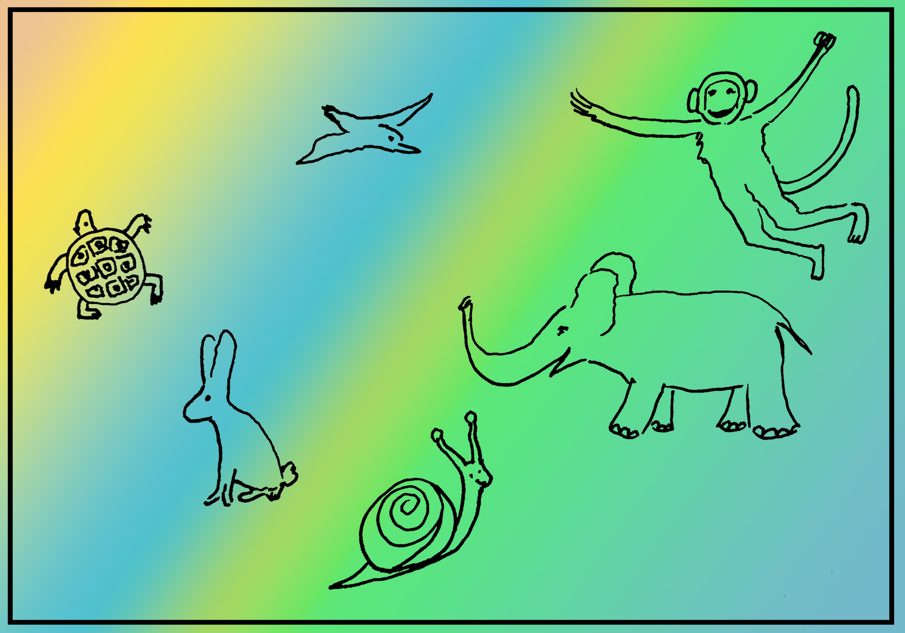 Флерова Е.А.