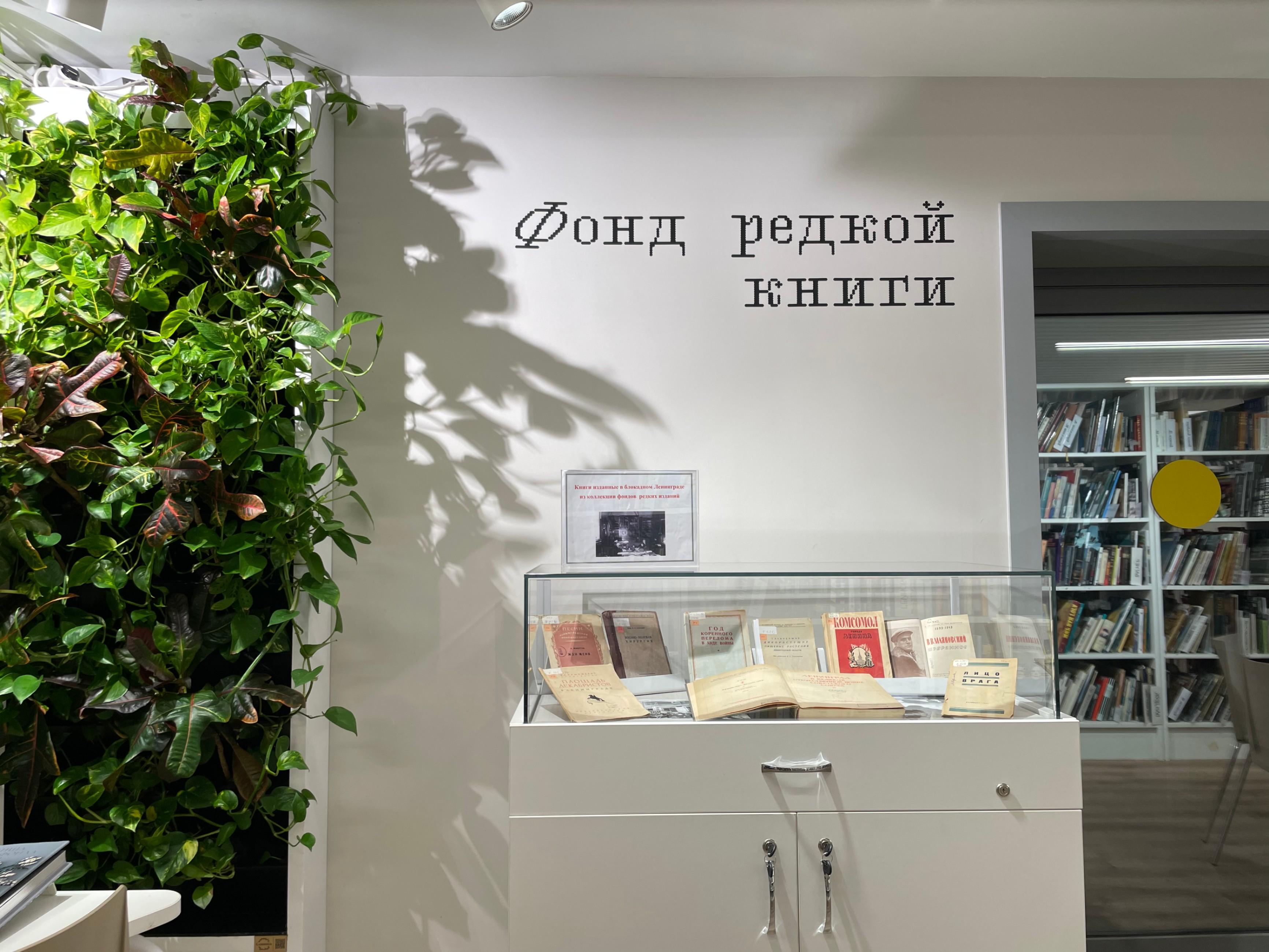 Укиметова екатерина