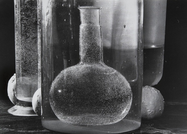 Бесплатная среда — снова в РОСФОТО