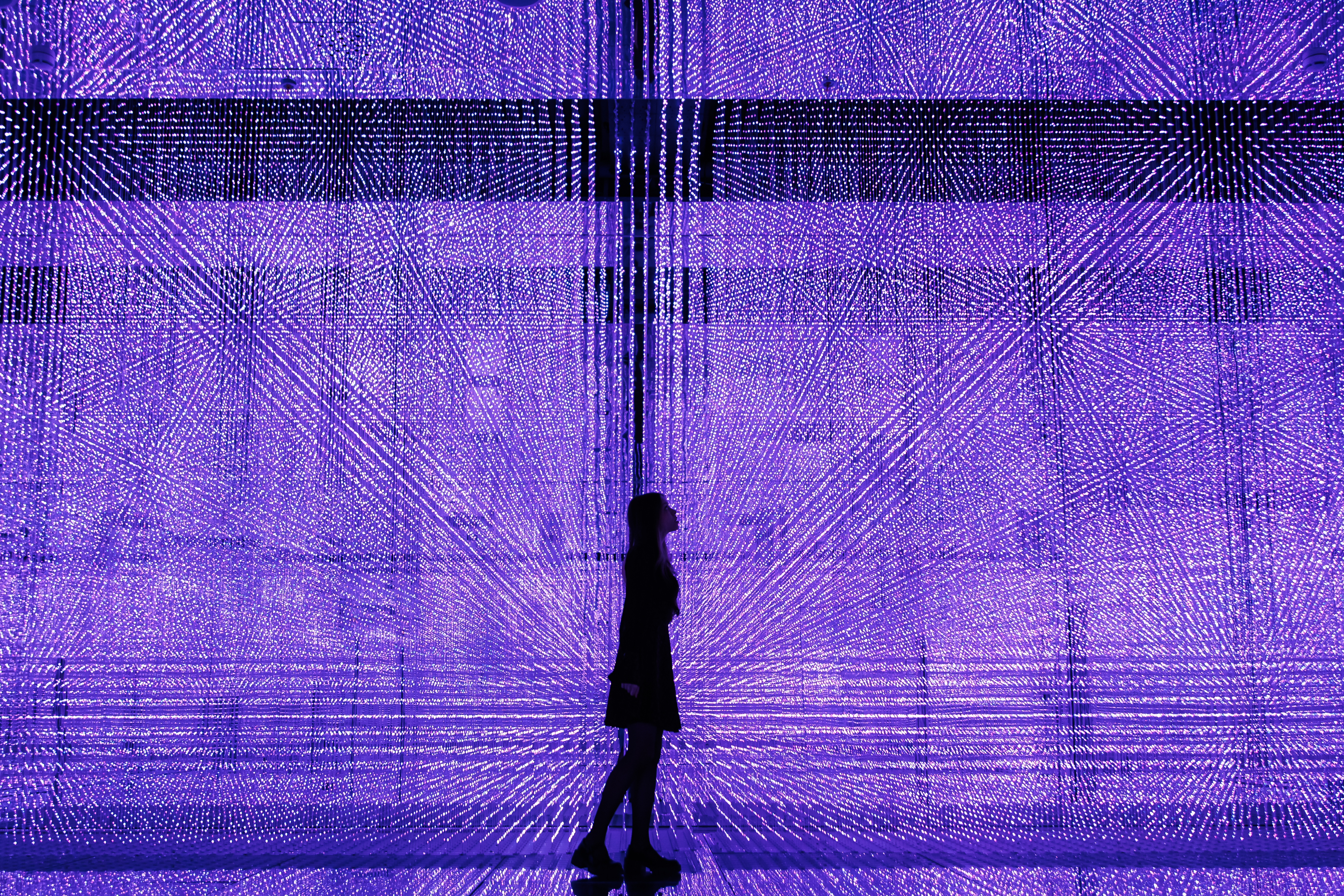 Петербургские художники превратят шрамы в свет13