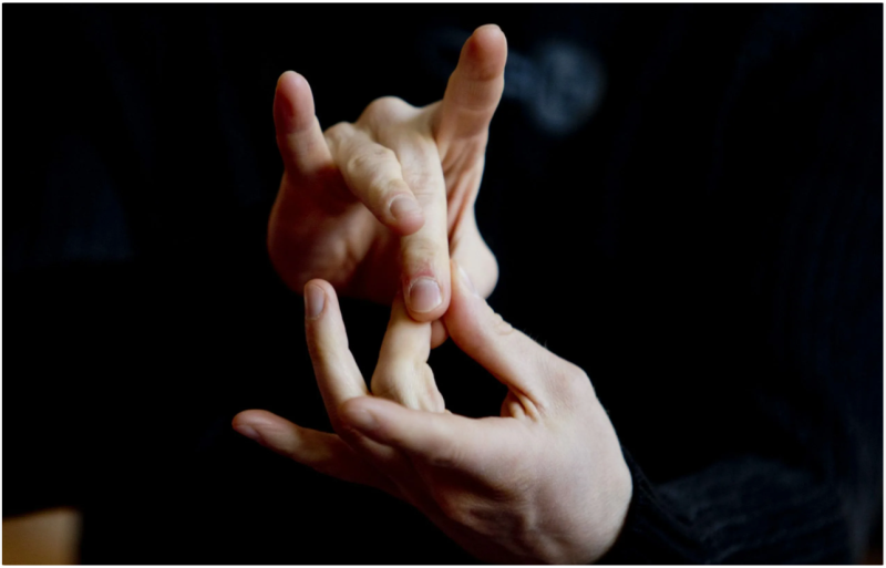 Эрмитаж подготовил цикл лекций о художниках с переводом на русский жестовый язык