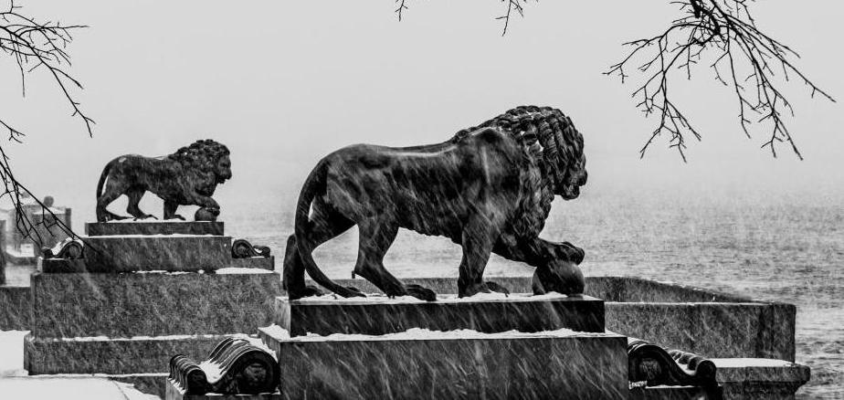 Стартует фестиваль «Кругом – Петербург. Синхронизация» 