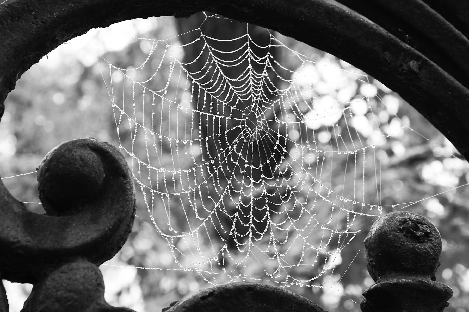 100 авторов представят своё видение мира в Центре книги и графики   3