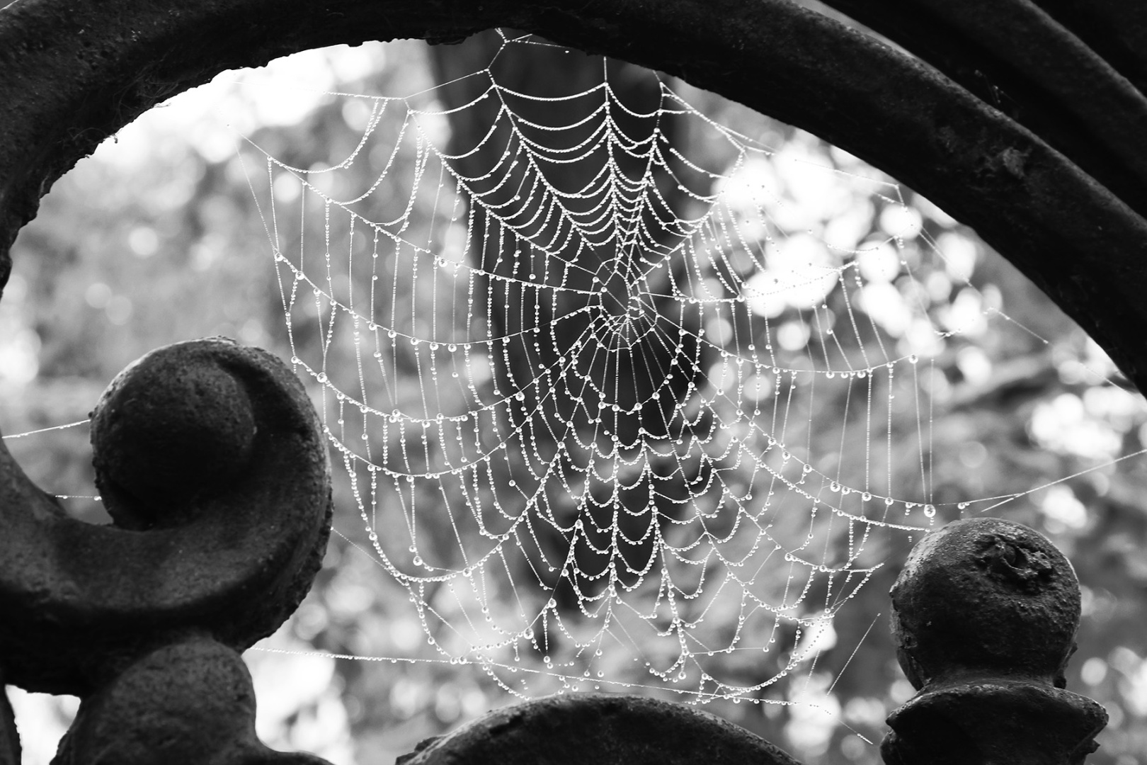 Правообладатель фото: Пресс-служба Творческого объединения M.Familia.