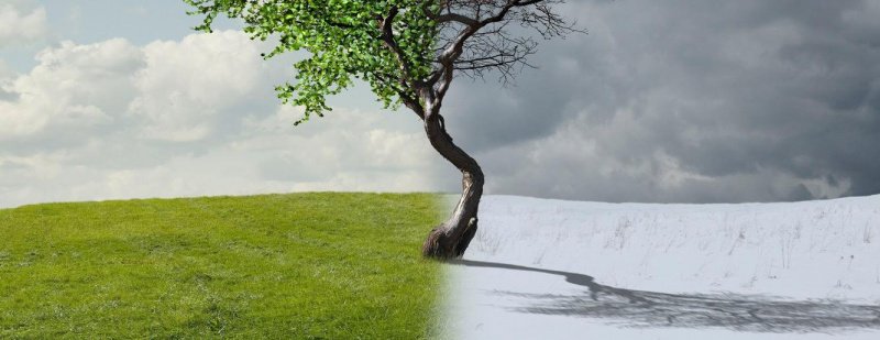 Инклюзивный Петербург: 3 – 9 апреля 2023