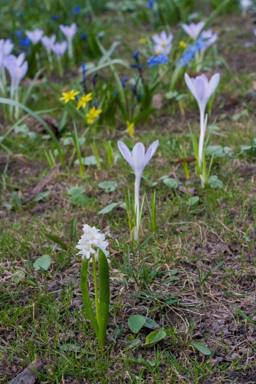 Скульптуры Летнего сада освободят из деревянных футляров4