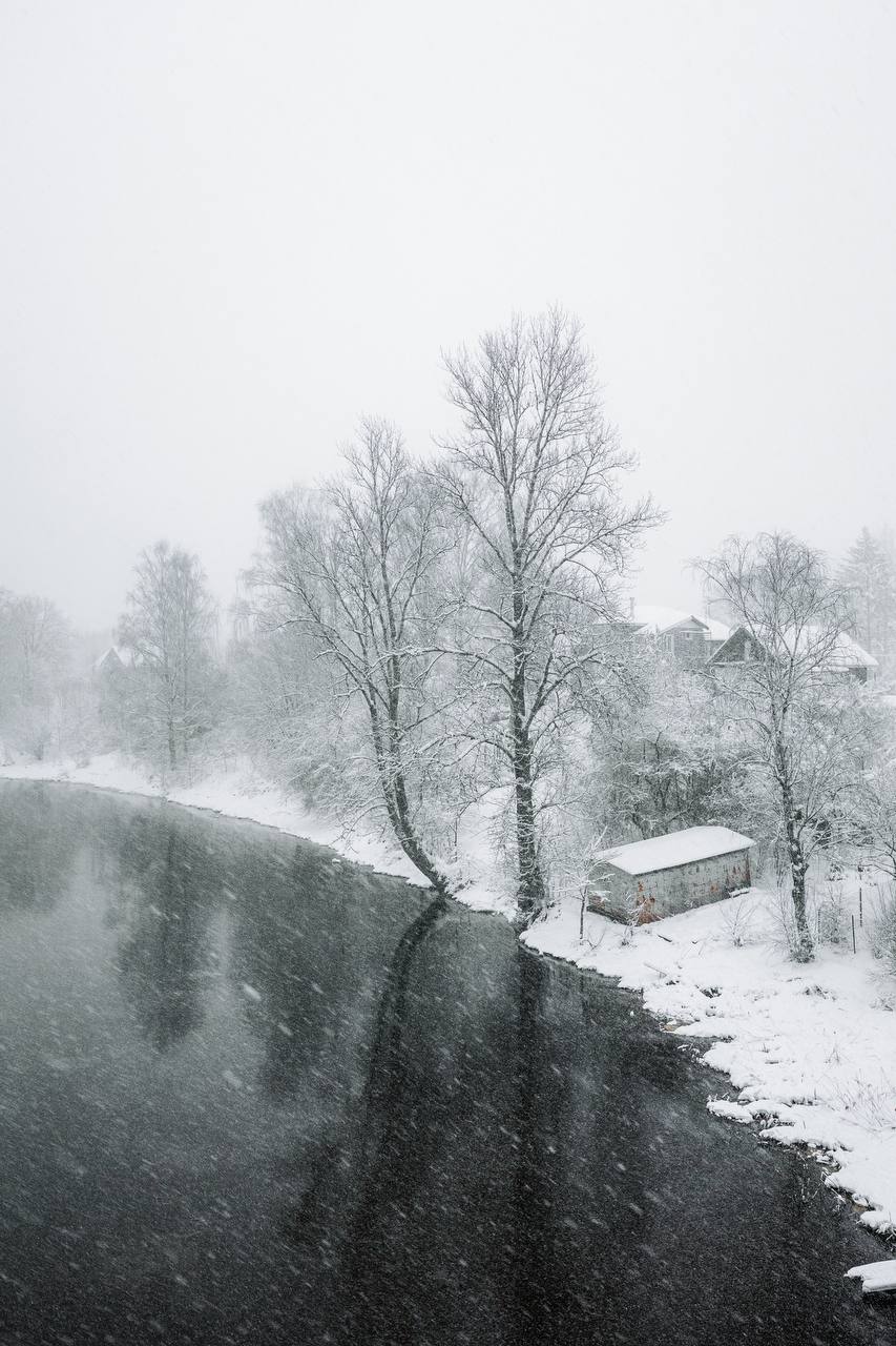 «сНежное сердце» забьётся в медиацентре «Культура Петербурга» 5