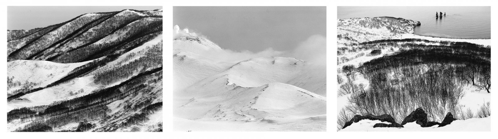 Правообладатель фото: Пресс-служба галереи Арт от Фото. 