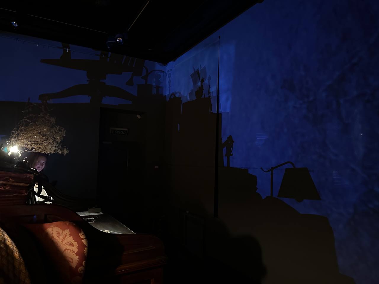 «Это январь. Зима» - новый взгляд на Бродского в Музее Ахматовой2