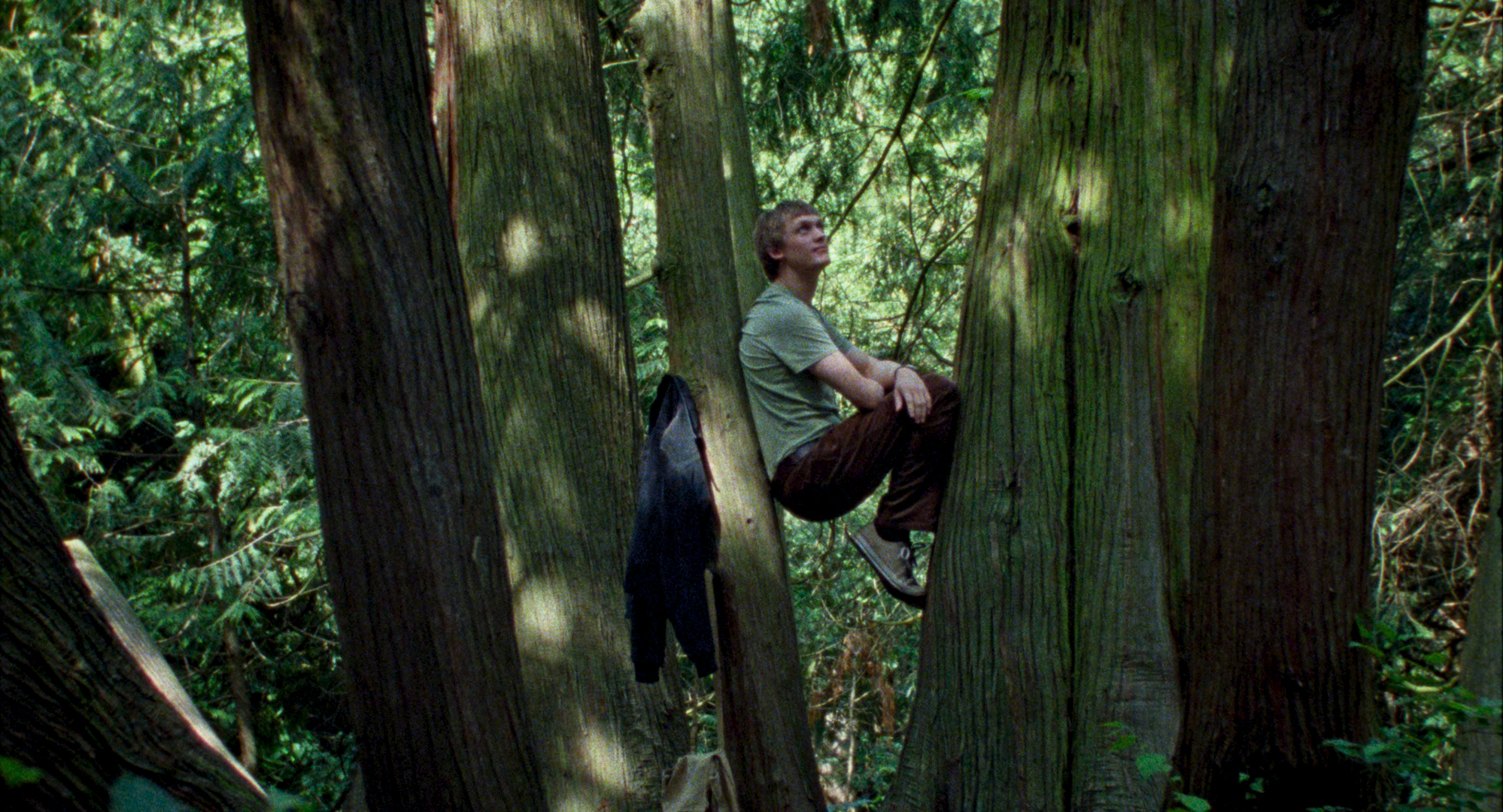 «Молчаливый друг» порассуждает о человеческой жизни в «Авроре»3