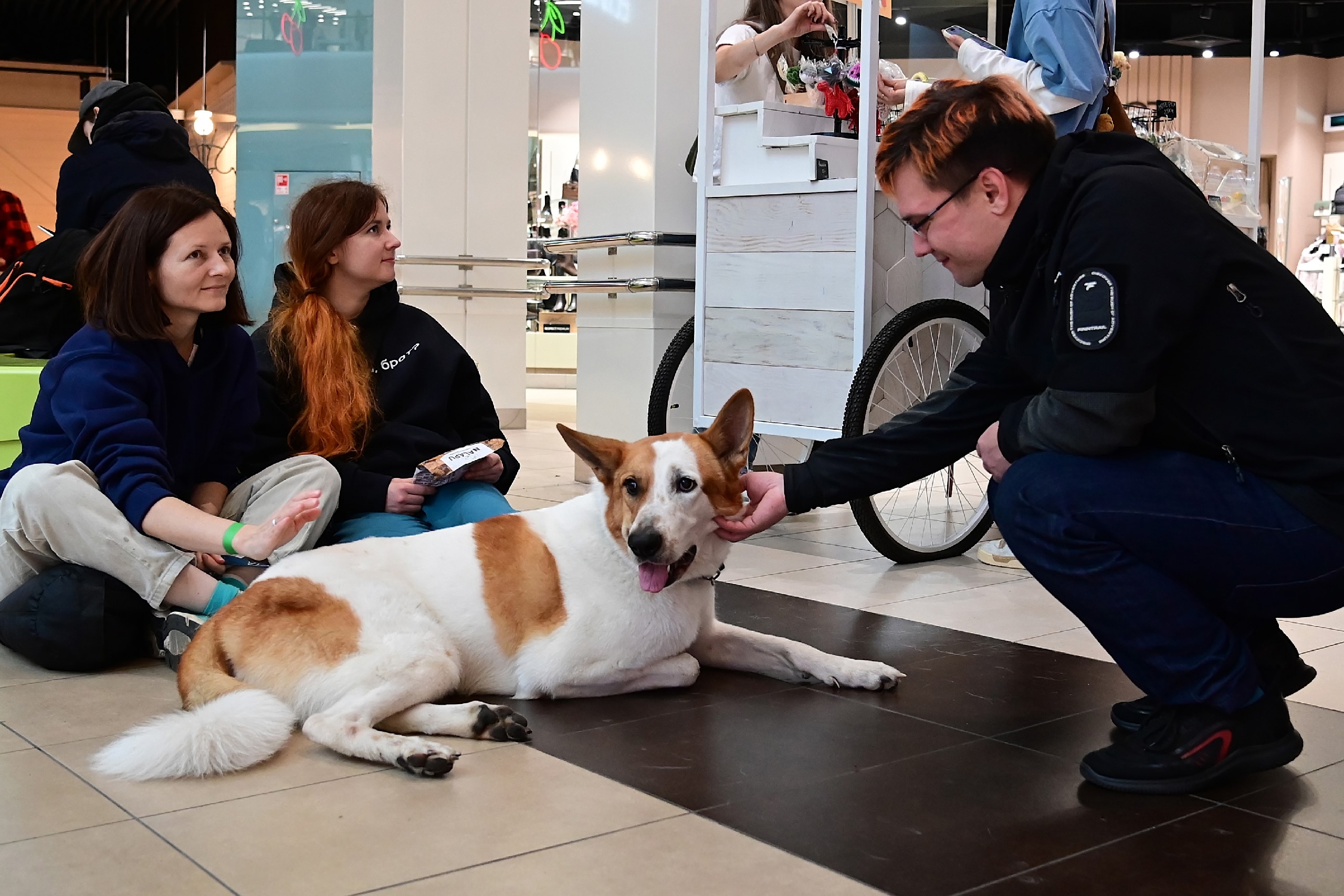 «Путь домой» вернётся в «Лето» в разгар зимы4