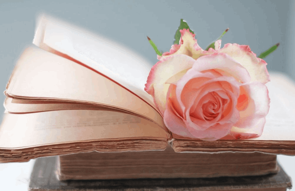 https://new.pushkinlib.ru/%D0%BF%D0%BE%D0%B7%D0%B4%D1%80%D0%B0%D0%B2%D1%8C-%D0%BB%D1%8E%D0%B1%D0%B8%D0%BC%D1%83%D1%8E-%D0%B1%D0%B8%D0%B1%D0%BB%D0%B8%D0%BE%D1%82%D0%B5%D0%BA%D1%83-%D1%81-%D1%8E%D0%B1%D0%B8%D0%BB%D0%B5%D0%B5/?utm_medium=organic&utm_source=yandexsmartcamera