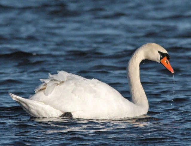 Правообладатель фото: пресс-служба Президентской библиотеки.