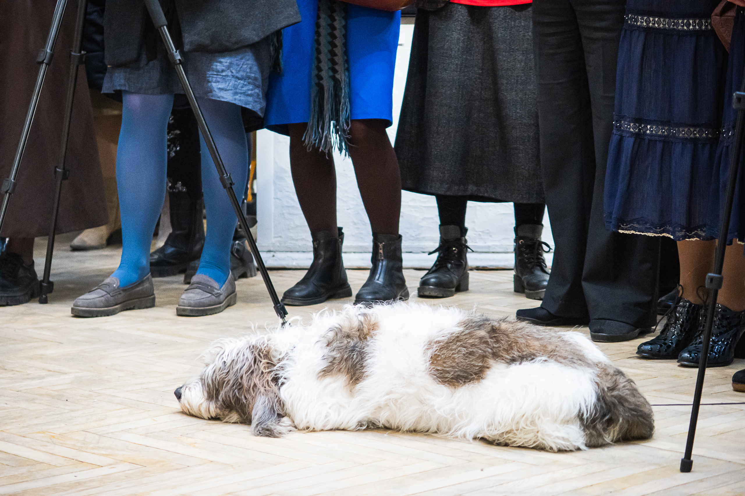 В Cоюзе художников дали старт «Весне» 11