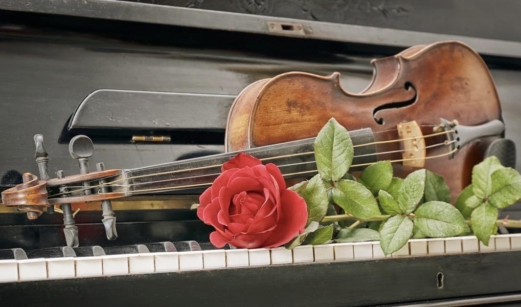 https://artmuseum.karelia.ru/news/muzyka-v-muzee-30-maya-kontsert-skvoz-vremya-ot-baha-do-shostakovicha/attachment/gor-211/?utm_medium=organic&utm_source=yandexsmartcamera