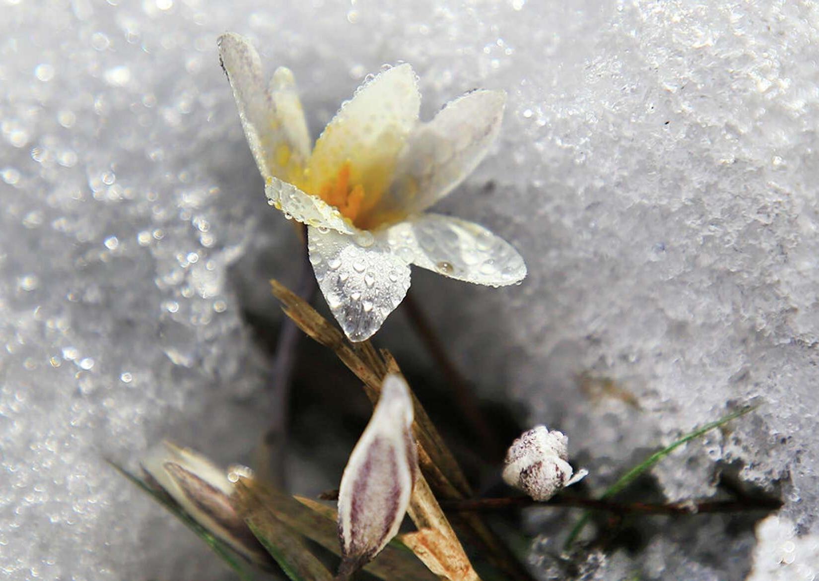 СПб ГБУК «Централизованная библиотечная система Калининского района»