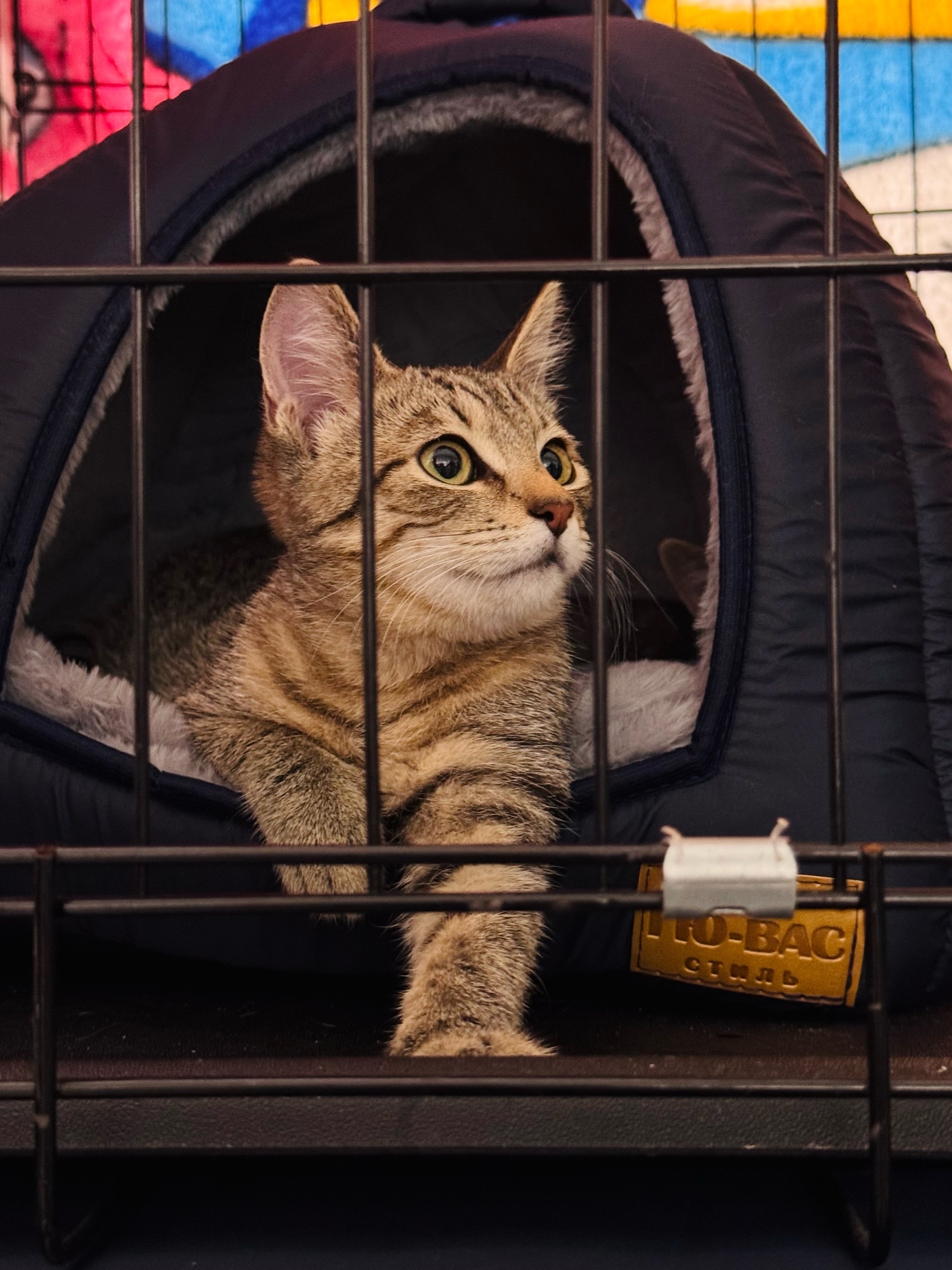 «Путь домой» вернётся в «Лето» в разгар зимы1