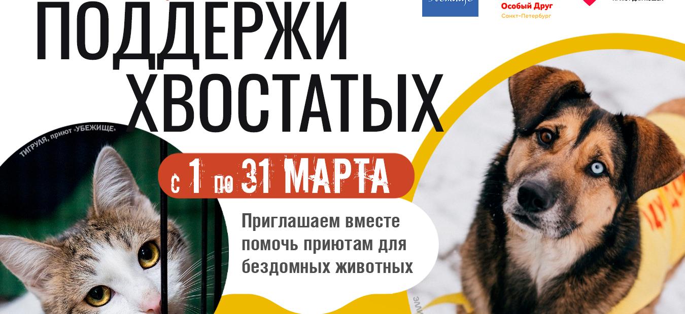 Обложка: В библиотеках Фрунзенского района поддержат хвостатых друзей